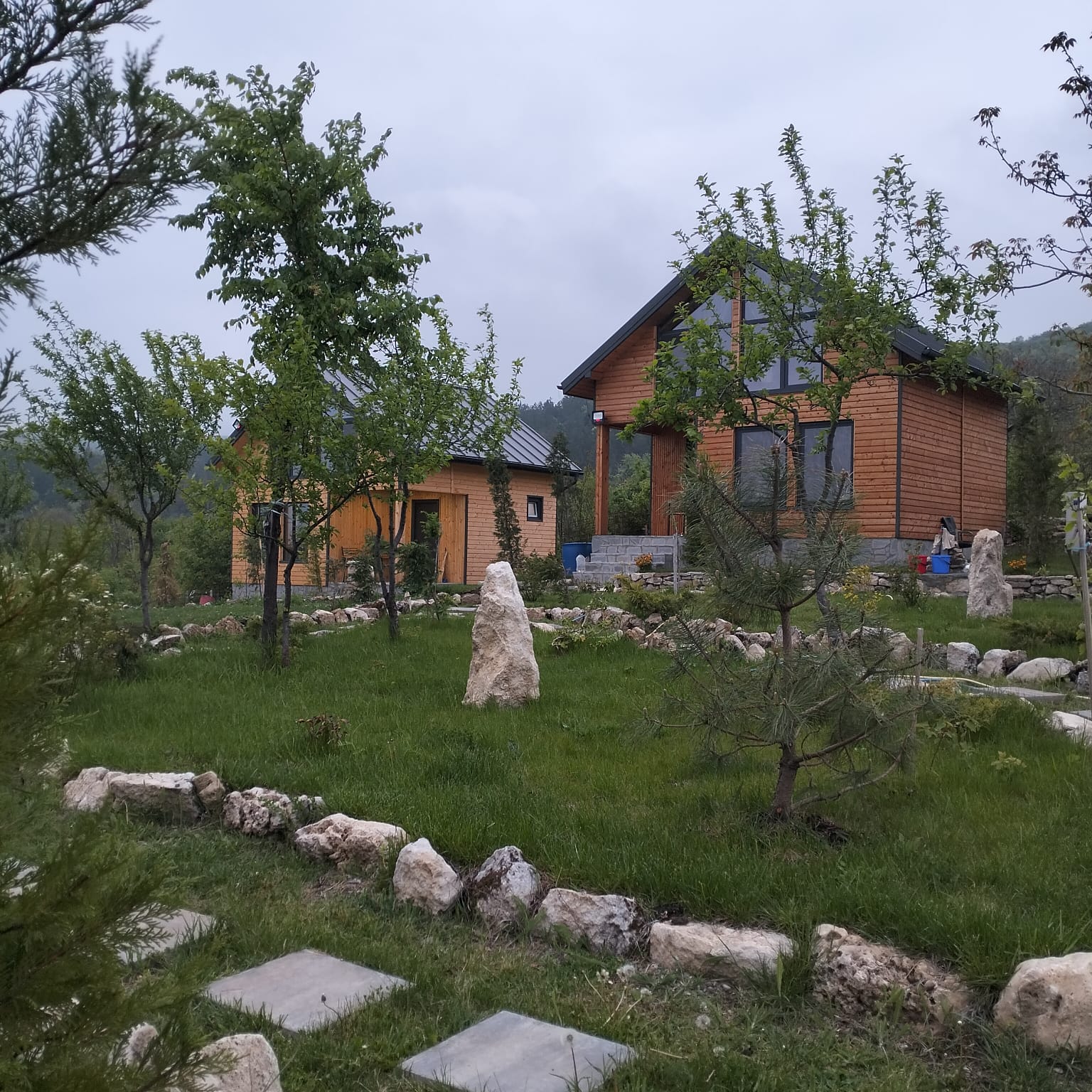Grădina cu copaci